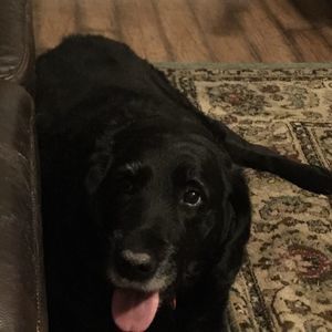 Meet your Posher, Jeff